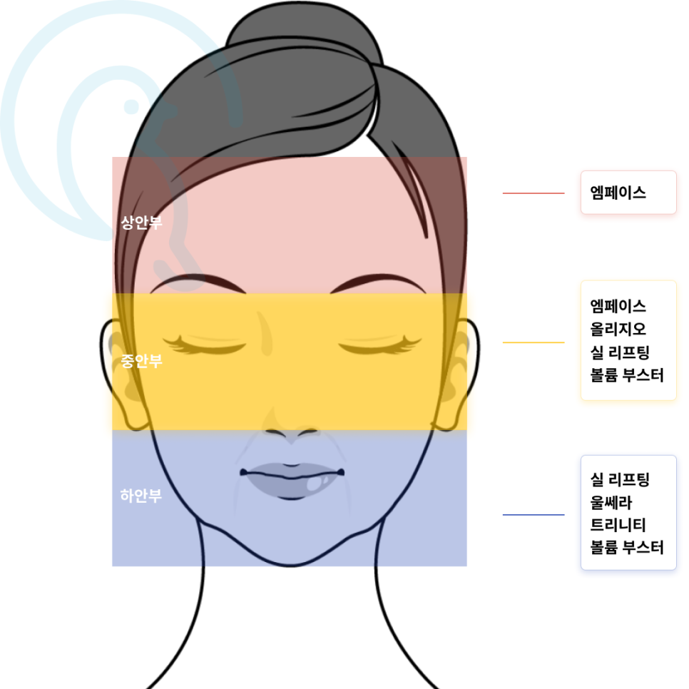 류소민 원장 — Soomin Ryu, M.D., Bluebird Skin